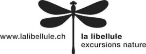 La Libellule
