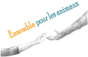 Ensemble pour les animaux