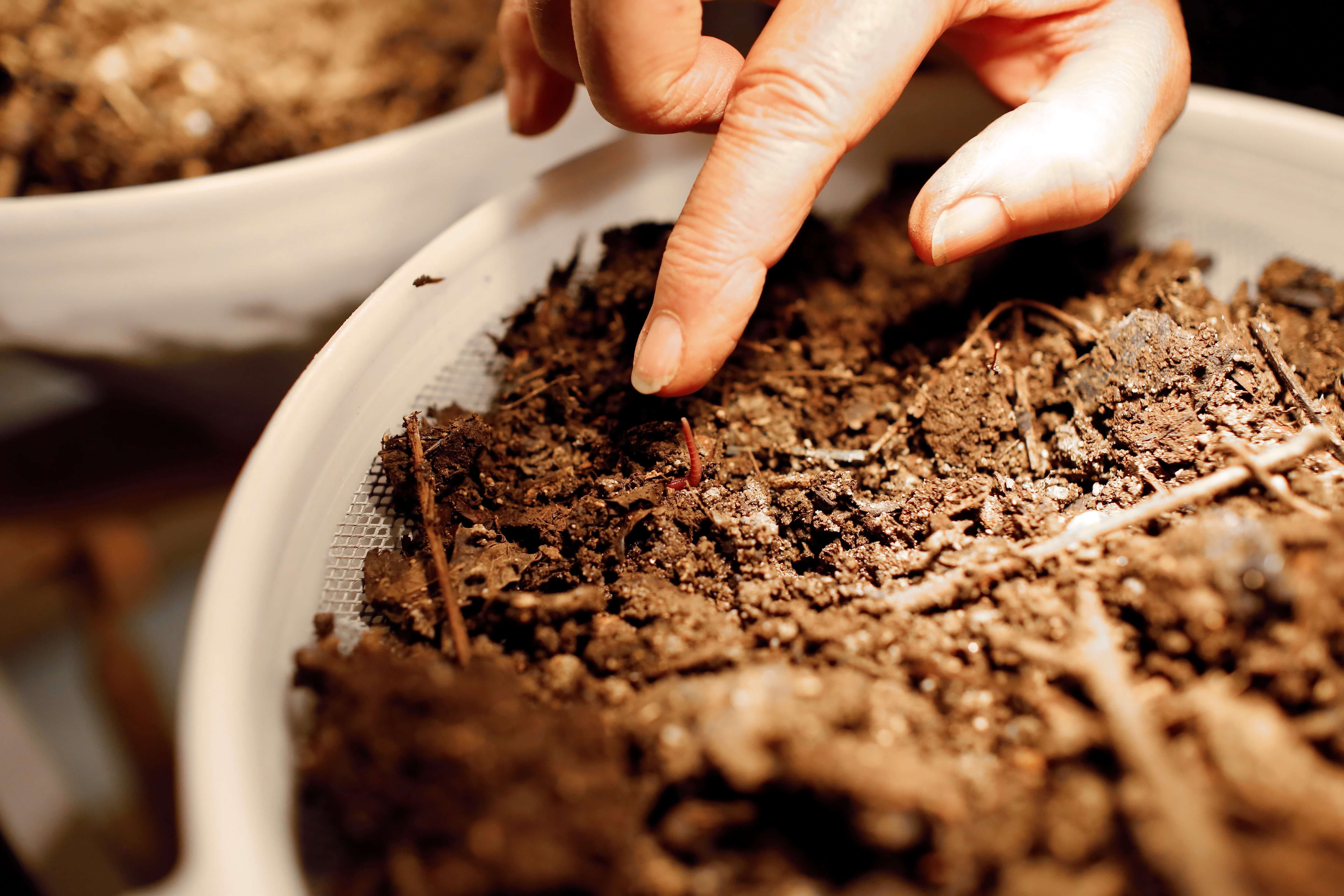HEALTHY SOILS, A COMMON GOOD TO BE PRESERVED – Fondation Didier et ...