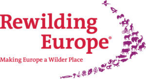 Rewilding Europe
